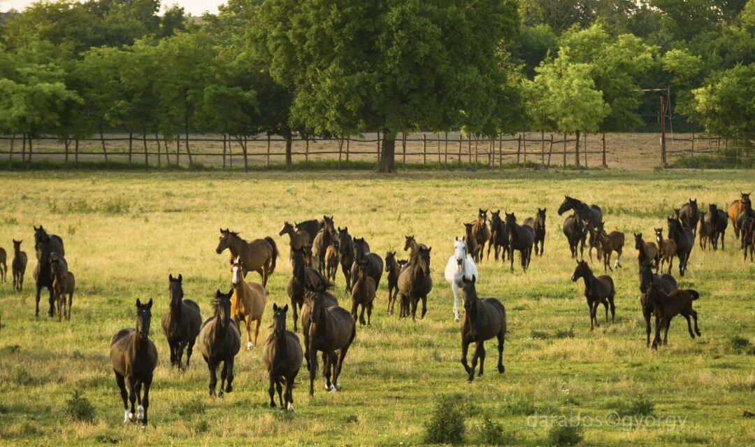 Hogyan tovább? Most megtudjuk!