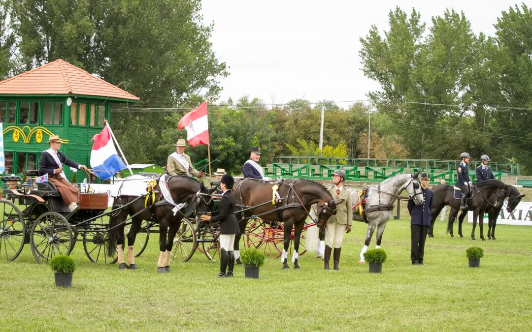 Sajtótájékoztató – III. fiatal Fogatlovak VB