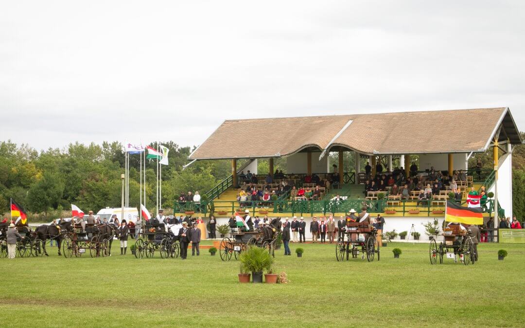 Mezőhegyesi Nemzetközi Fogathajtó Verseny 2017