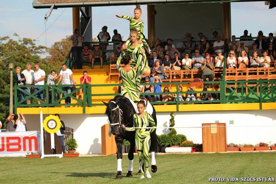Füzesgyarmati Gyermeklovas Alapítvány lovastorna csapatának tagjai is bemutatóztak