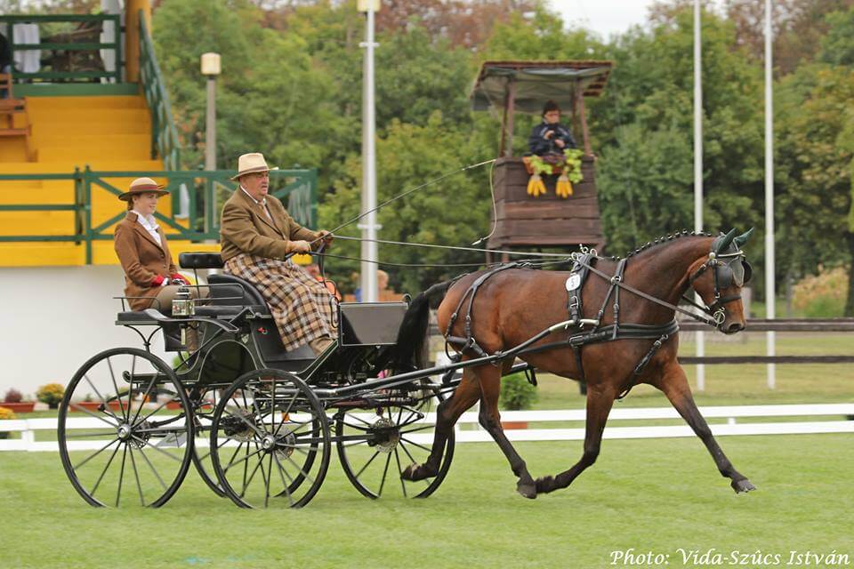 Elkezdődött a világbajnokság