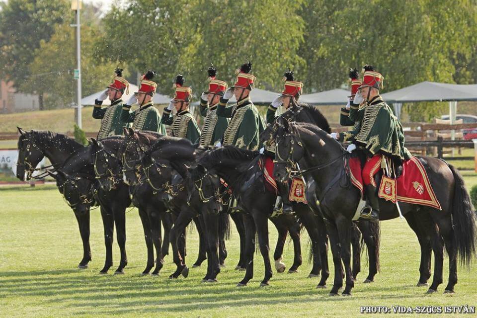 Megnyitó – Huszár carousel