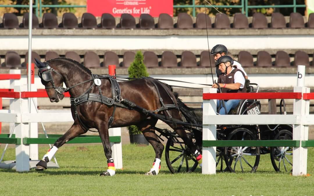 DA VINCY is the first World Champion