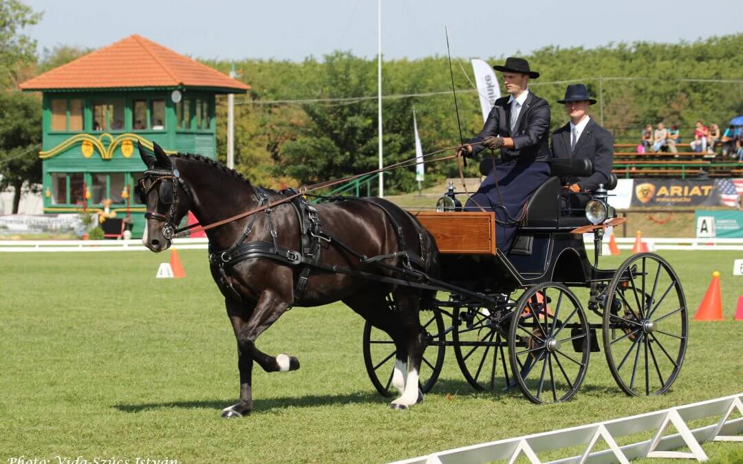Fiatal Fogatlovak VB harmadik nap összefoglaló szept. 08.