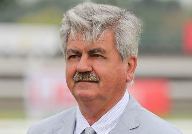 Előrelépések várhatók a magyar lótenyésztésben