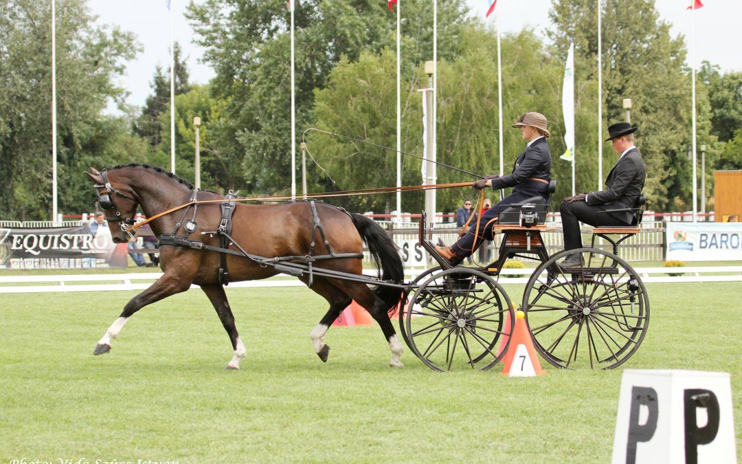 Marie Tischer – RIPORT