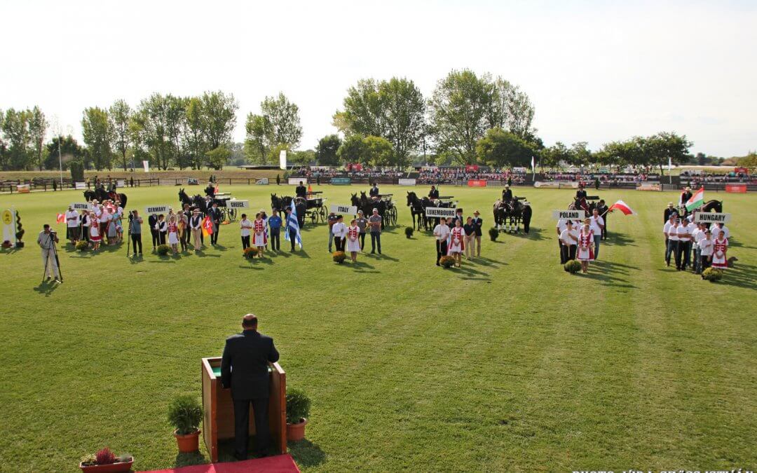 A világbajnokság a fogathajtás jövőjét szolgálja