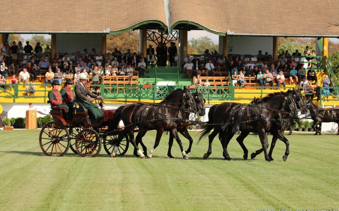 Fiatal Fogatlovak VB második nap összefoglaló szept. 07.