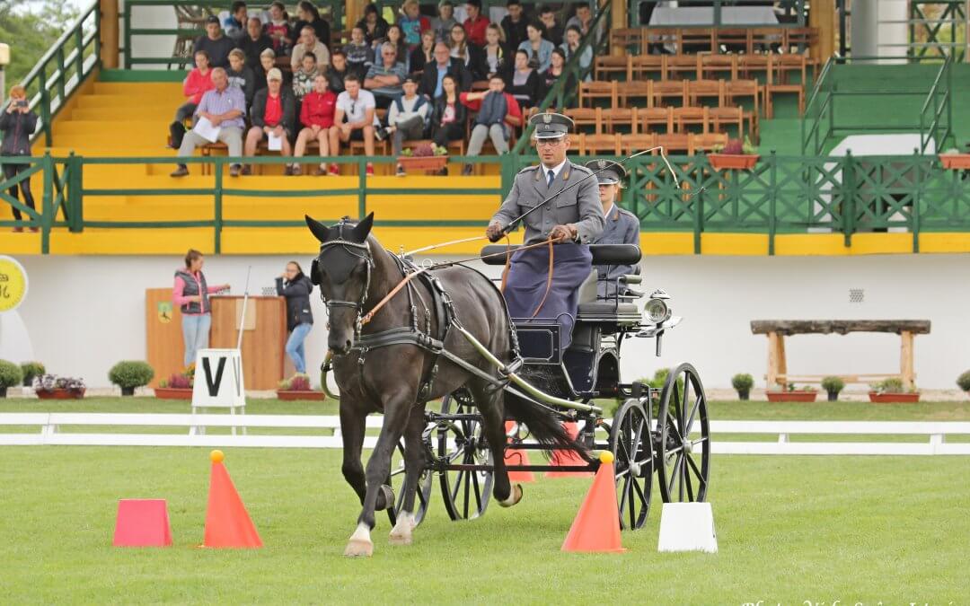 FEI WORLD DRIVING CHAMPIONSHIPS 2017 FOR YOUNG HORSES MEZŐHEGYES 7 years Final Result