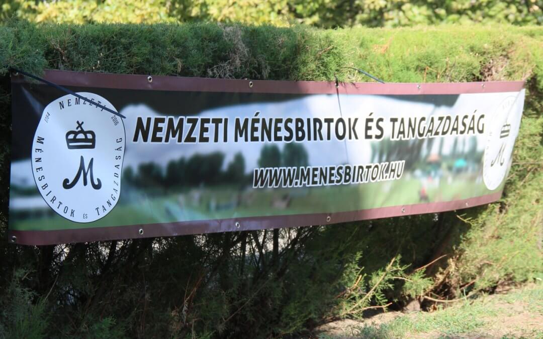 Szója fajtabemutató 2017. augusztus 25.