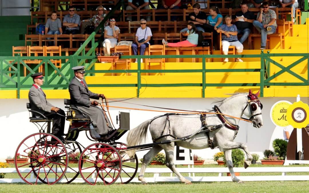FEI WORLD DRIVING CHAMPIONSHIPS 2017 FOR YOUNG HORSES MEZŐHEGYES 7 years 2nd Round Final Result