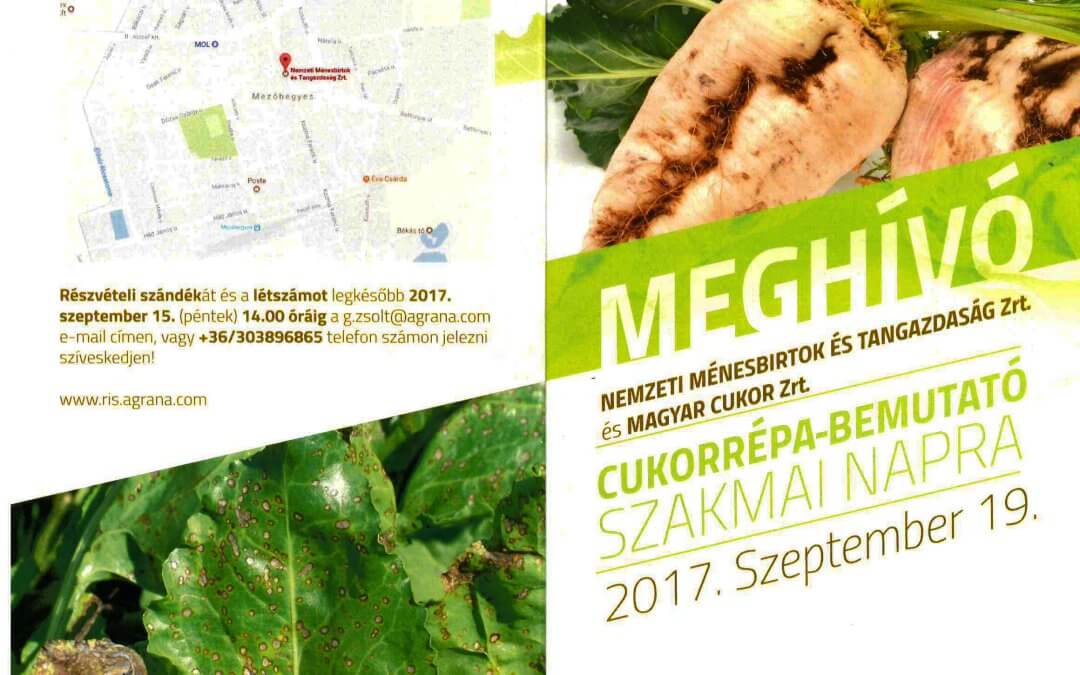 Cukorrépa-bemutató szakmai nap