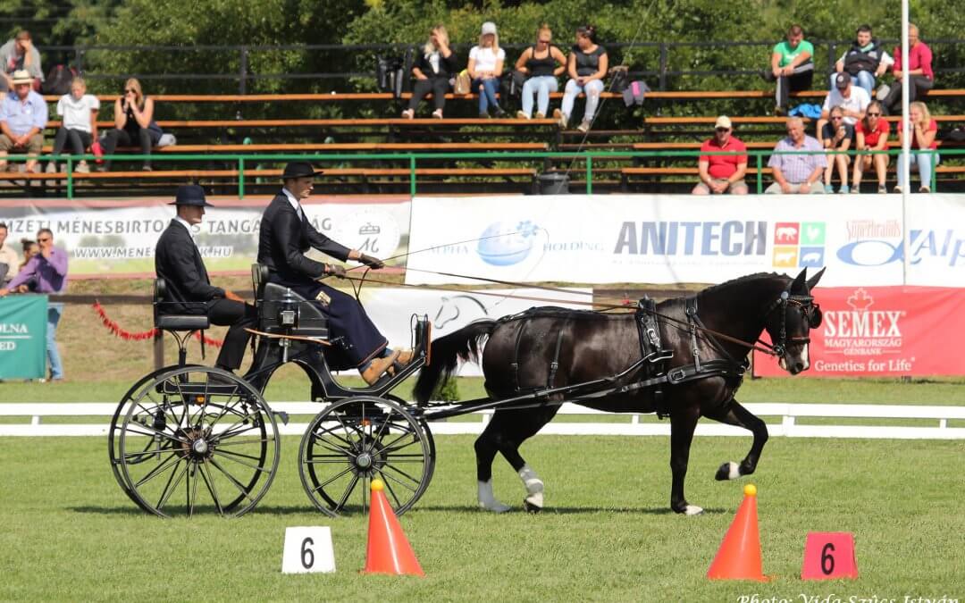 FEI WORLD DRIVING CHAMPIONSHIPS 2017 FOR YOUNG HORSES MEZŐHEGYES 6 years 2nd Round Final Result