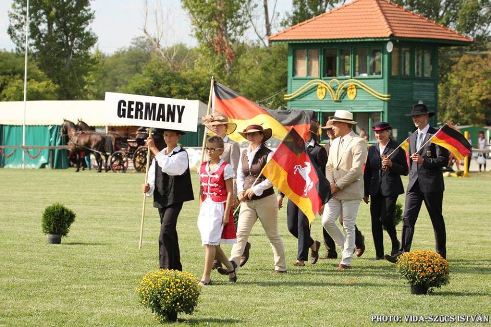 Német lovak az élen az 5 éveseknél