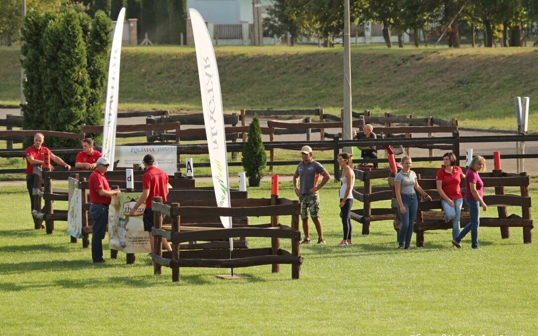 A döntő mezőnye – Német fölény magyar lovak nélkül