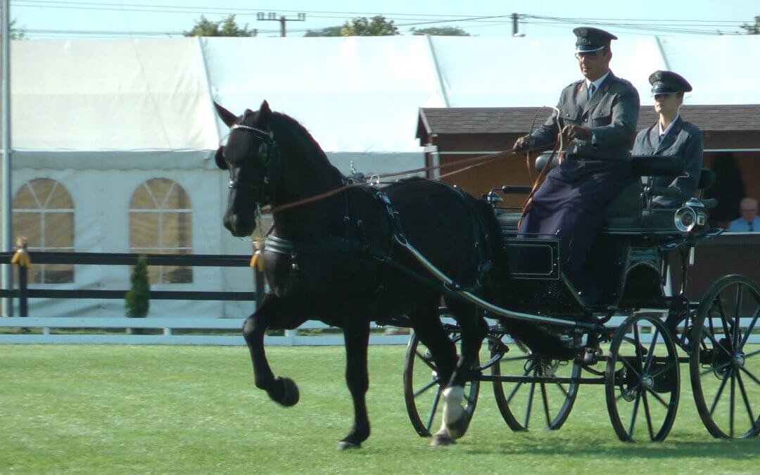 Kombinált akadályhajtás és maratonhajtás az utolsó versenynapon