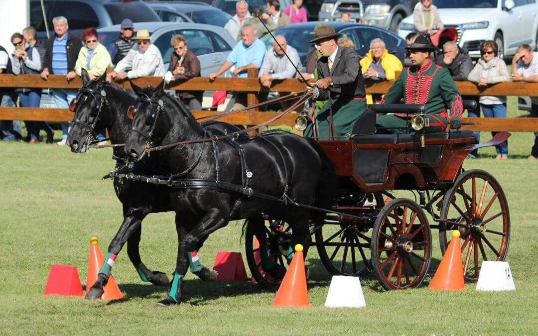 Mezőhegyes a fogathajtó sport központja – Nemzeti Fogathajtó Verseny