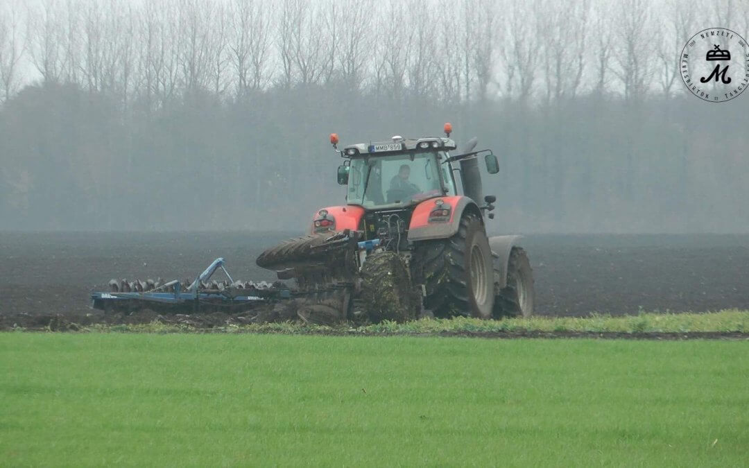 Hangsúlyos ágazatunk a szántóföldi növénytermesztés