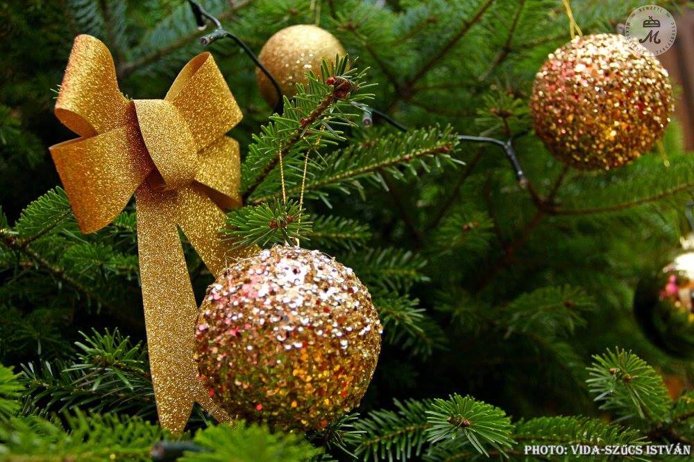 Törzsgárda elismeréseket vehettek át munkatársaink