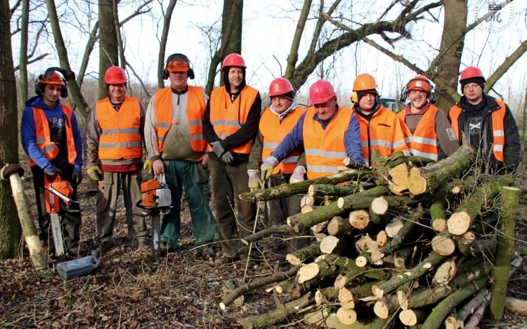 Mezőhegyes értékét az erdők is növelik
