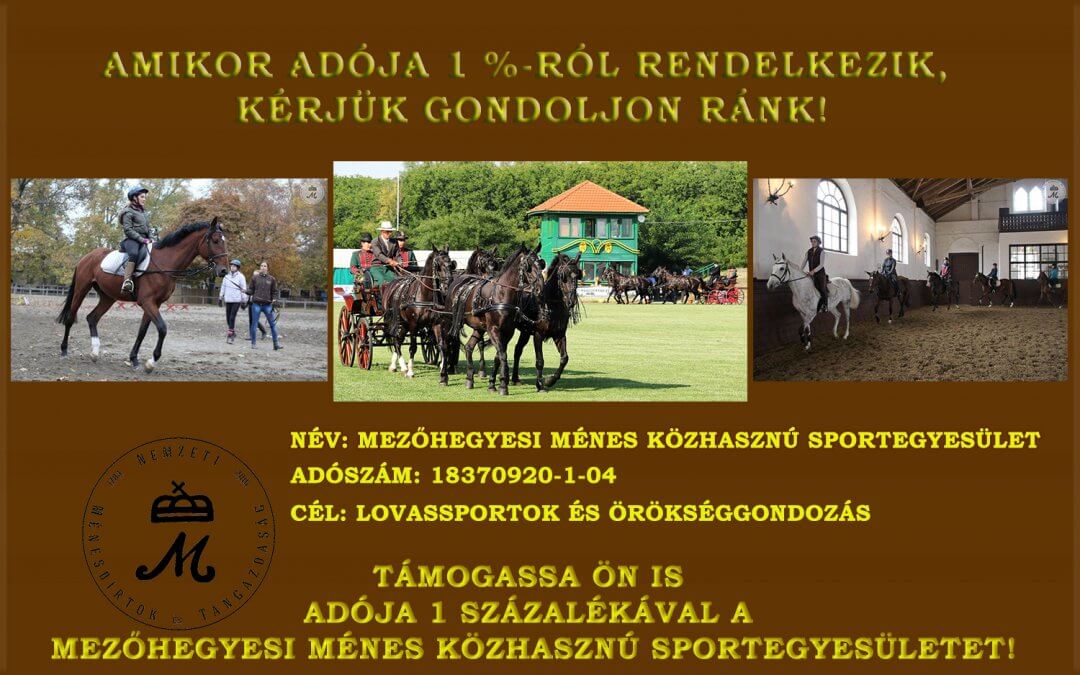Mezőhegyesi Ménes Közhasznú Sportegyesület