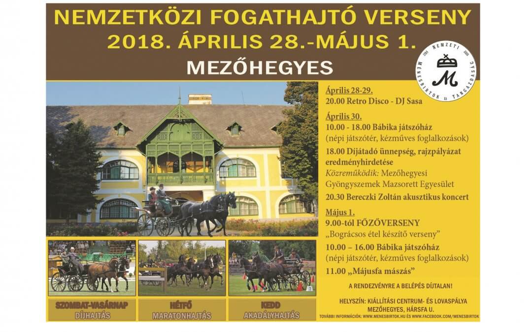 Nemzetközi Fogathajtó Verseny Mezőhegyesen – HIVATALOS SPOT
