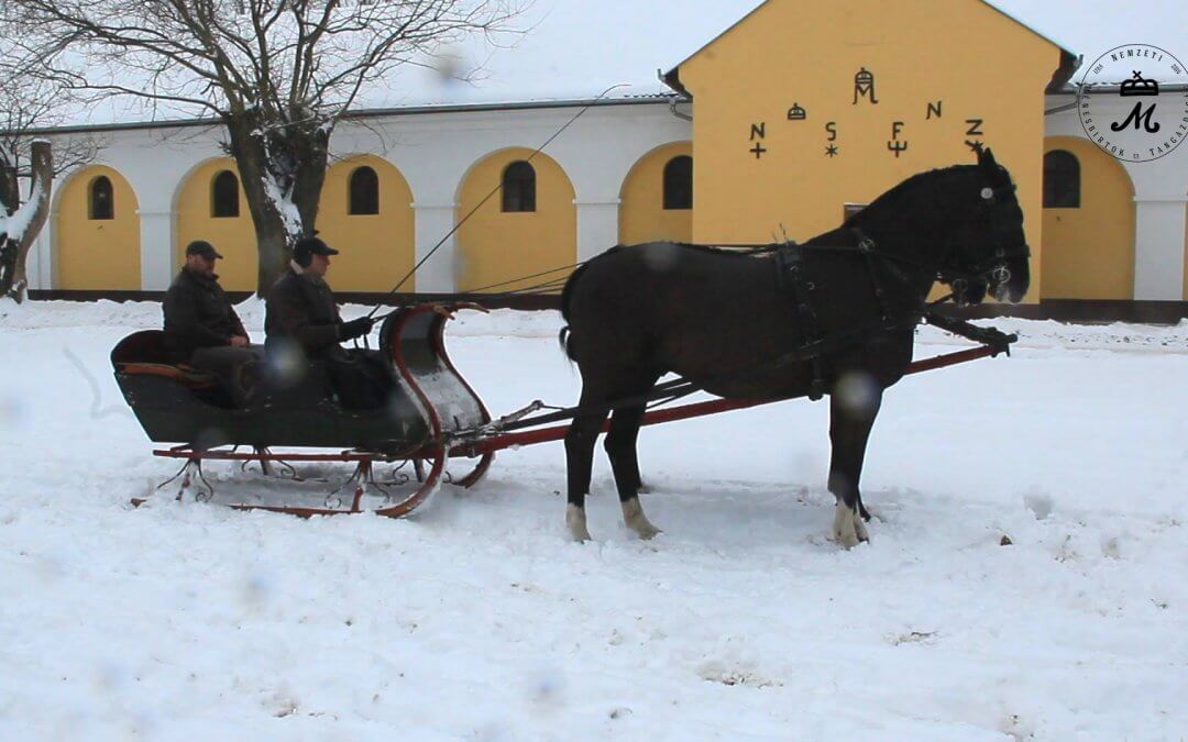 Lovasszán is közlekedik a Ménesbirtokon