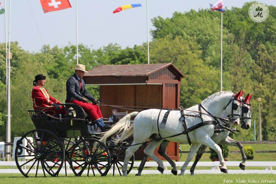 Pál Attila nem számított erre az eredményre