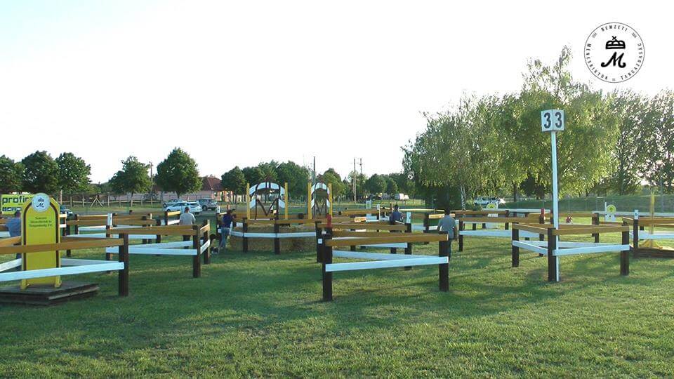 Elindult a maratonhajtás – több ezer néző Mezőhegyesen