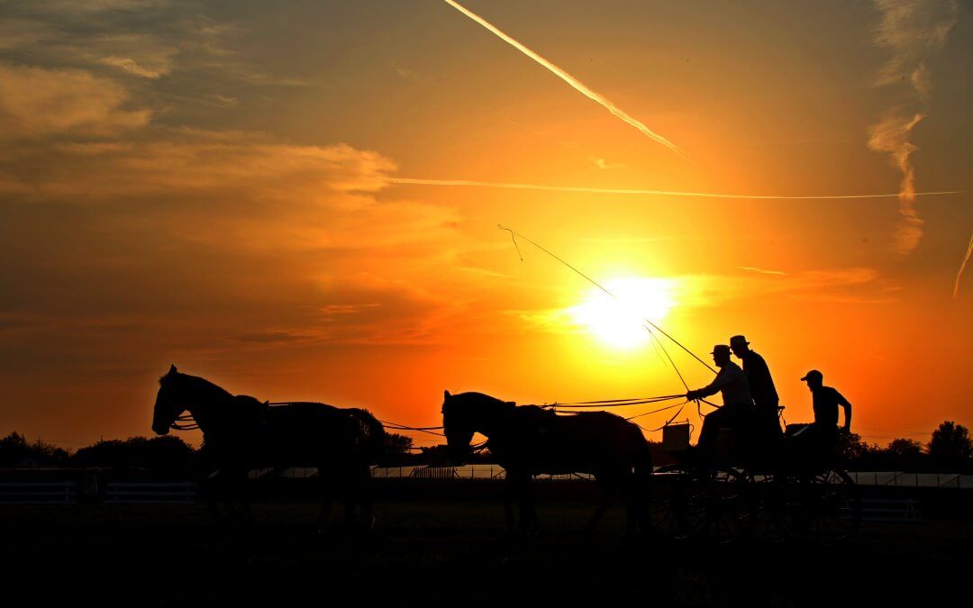 Nemzetközi Fogathajtó Verseny 2018 második nap összefoglaló