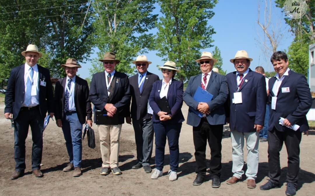 Nemzetközi Fogathajtó Verseny 2018 első nap összefoglaló