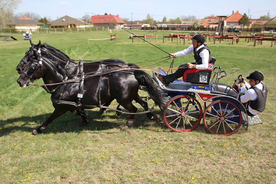 Papp János nyert Hetényegyházán