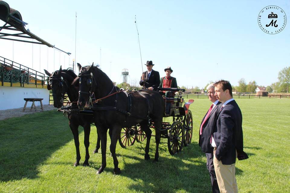 8 nap a nemzetközi versenyig – a patanyomok Mezőhegyesre vezetnek
