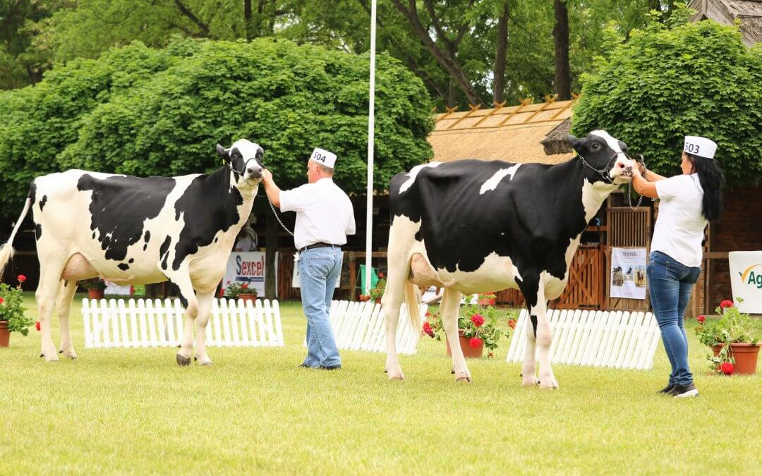 XXV. Alföldi Állattenyésztési és Mezőgazda Napok, Hódmezővásárhely, 2018. 05. 10-12.
