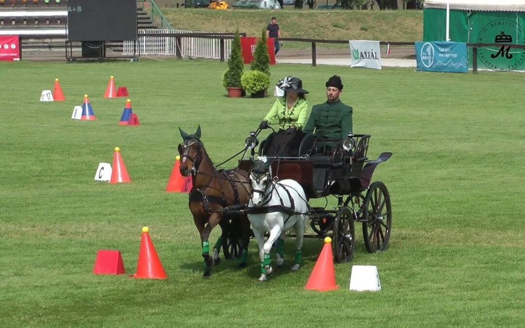 Balla Evelin nyert a póni kettesfogathajtóknál
