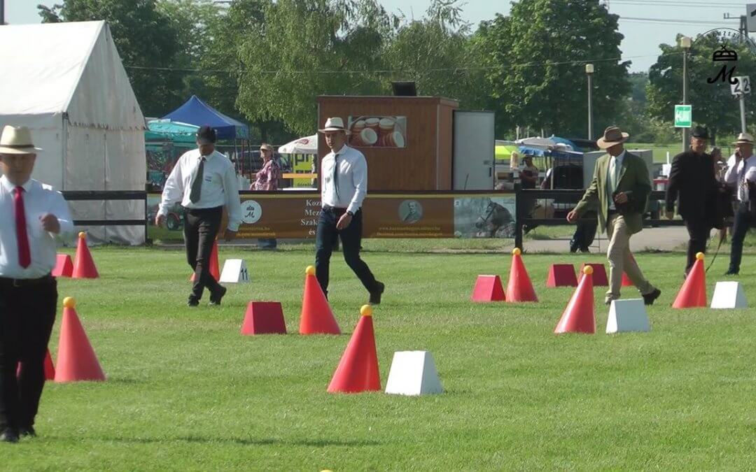 Zajlik a pályabejárás Mezőhegyesen