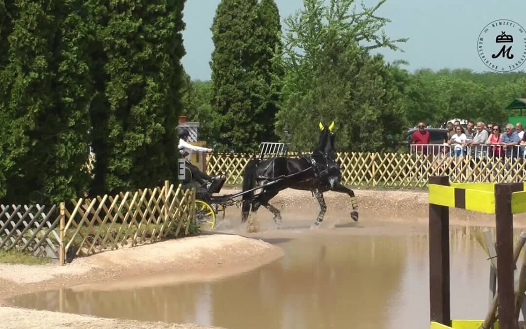 A maratonhajtást is Nyúl Katalin nyerte az egyesfogathajtóknál