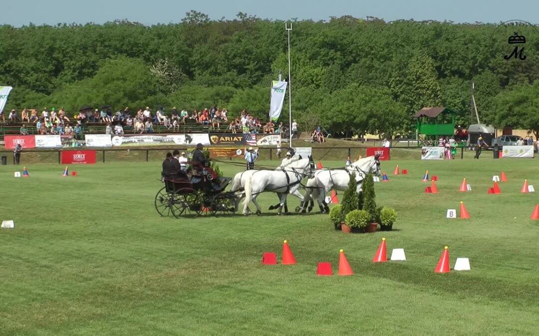 Mezőhegyes helyt áll a versenyrendezésben