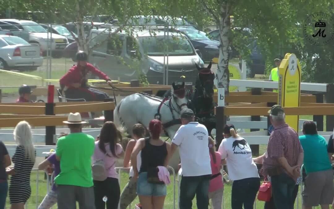 Jól teljesítettek Szabó Roland lovai