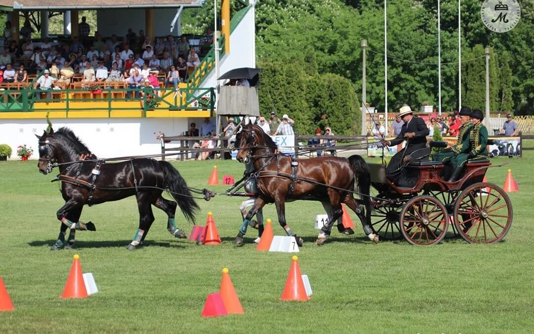 Dobrovitz: Fantasztikus volt a rendezés és a közönség