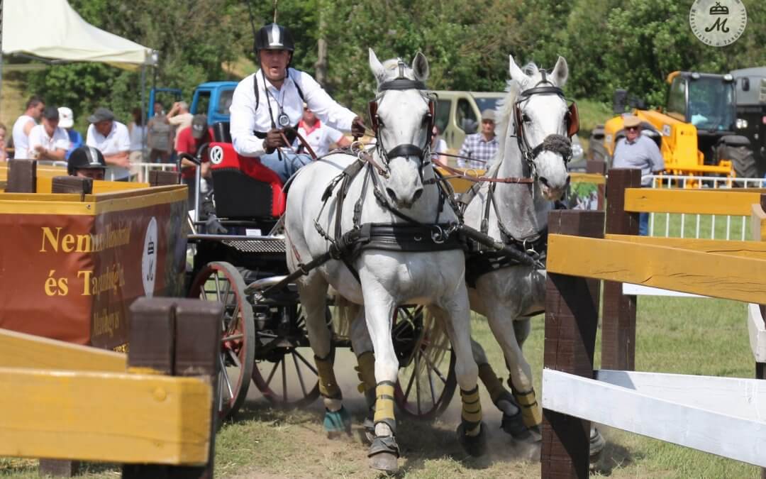 Magyar siker, nézőrekord Mezőhegyesen!