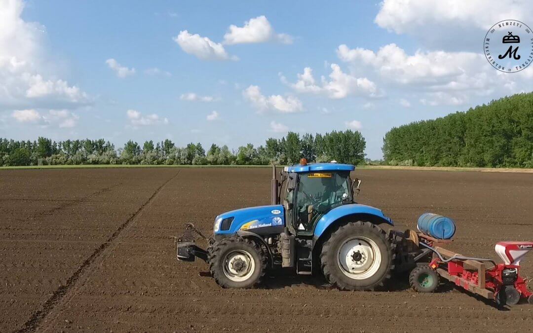 Megkezdődtek a tavaszi munkák
