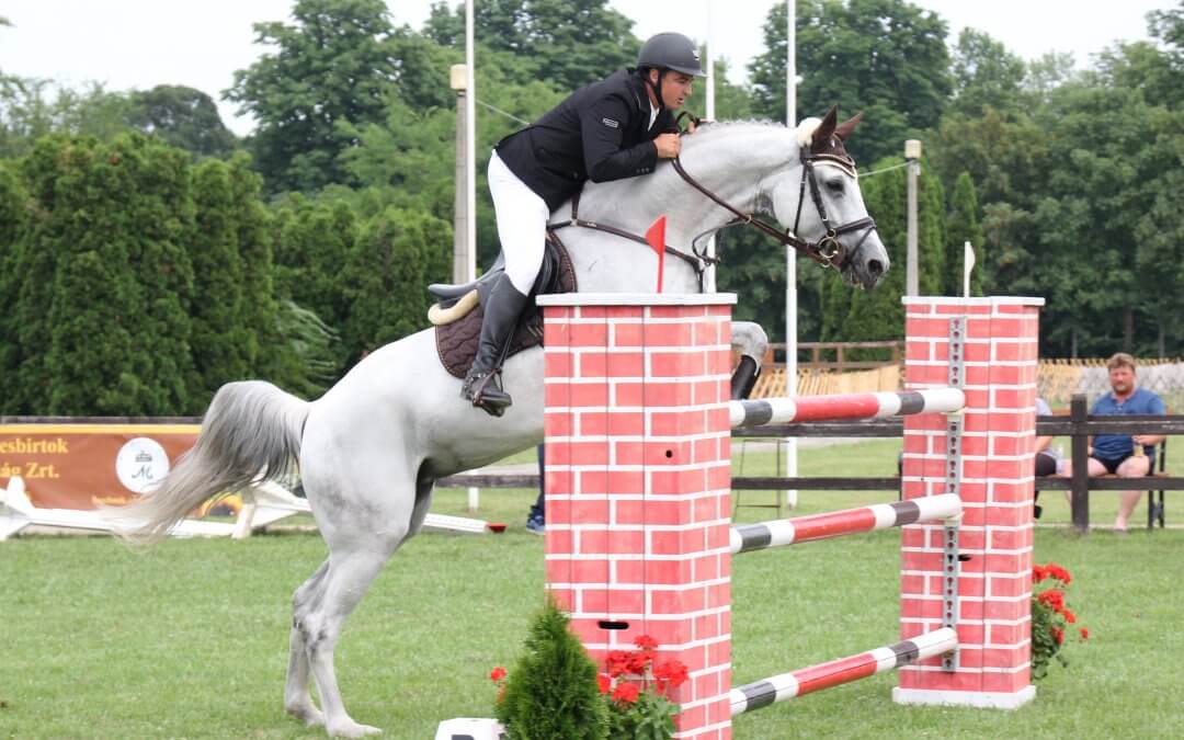 Mezőhegyesi győzelmekkel zárult a XXIV. Kanca és Ménverseny – Flóra nyerte a Szuperdöntőt