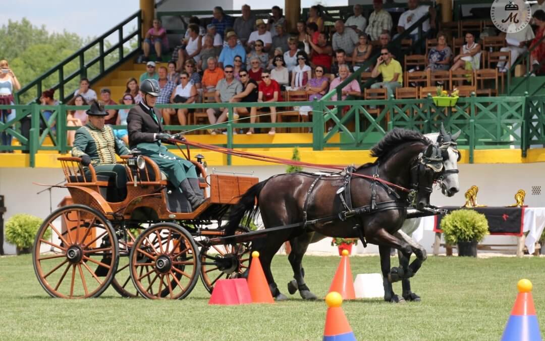 Nemzeti Fogathajtó Verseny: július 12-15.