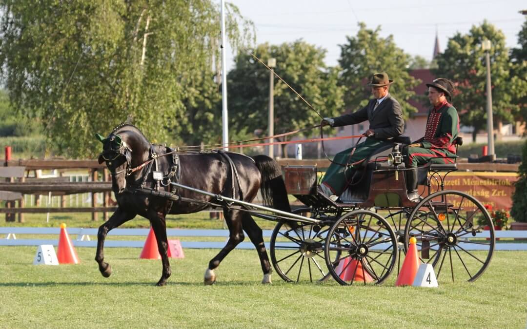 Megjelent a világbajnokság versenykiírása