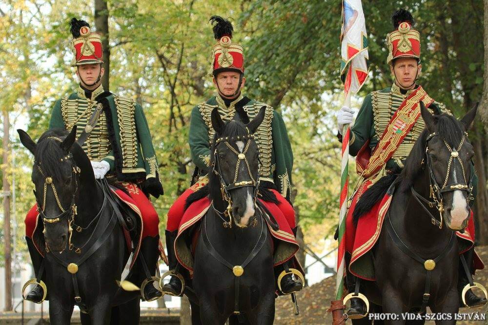 Mezőhegyesi mének az osztrák lovas szolgálatnak