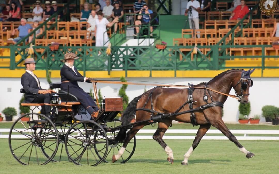 Saturday’s dressage finals