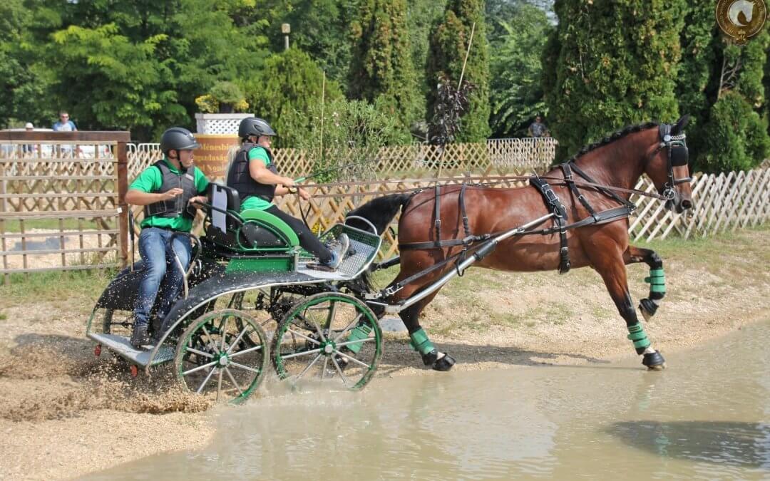 Germany is the World Champion in every category!