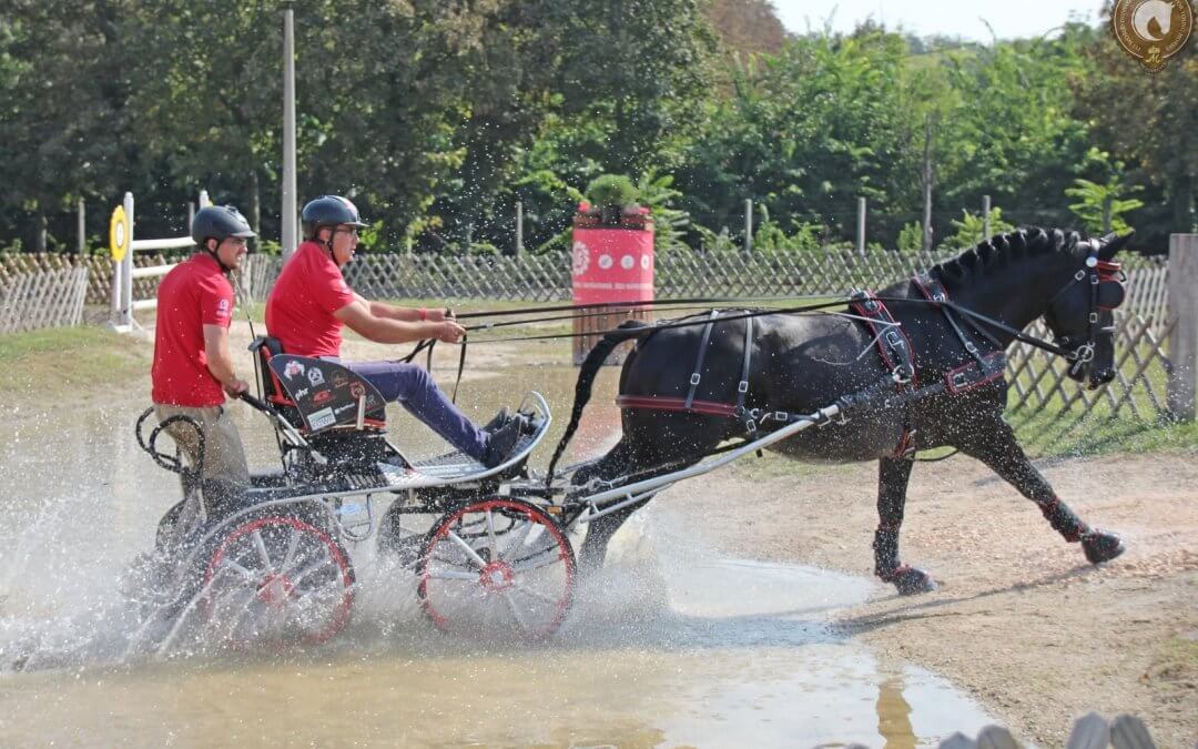 NÉMETORSZÁG TAROLT A VILÁGBAJNOKSÁGON