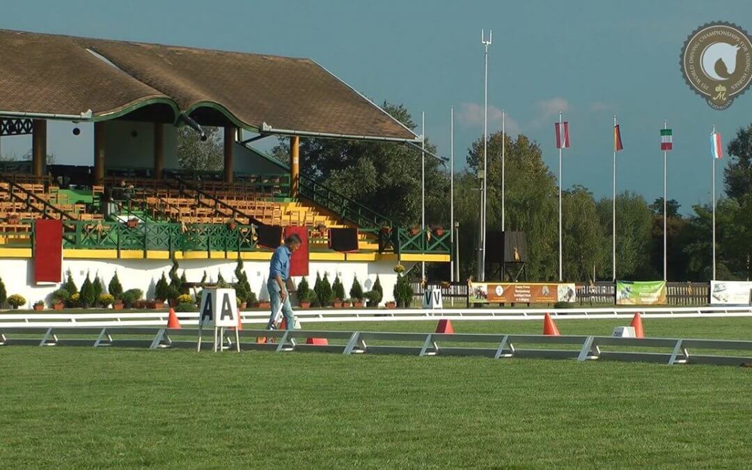 Unique driving course